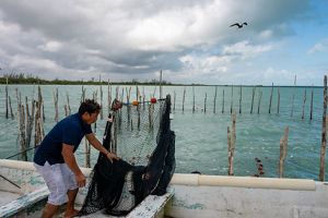 Un hombre trabaja en una red de pesca a la orilla del océano.