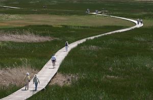 A group of people walking on a boardwalk.