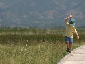 A small child balances precariously on the edge of a wooden boardwalk that traverses a grassy wetland.