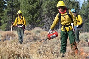 Three firefighters walking through a field while doing a prescribed burn.