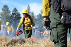 A prescribed fire crew monitors a prescribed burn in a field.