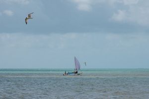 Una pequeña canoa con vela flota en un océano tropical.