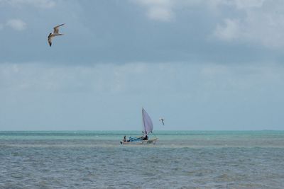 A small canoe with a sail floats on a tropical ocean.