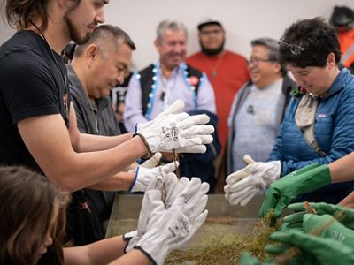 A group of people working over boxes with work gloves on.