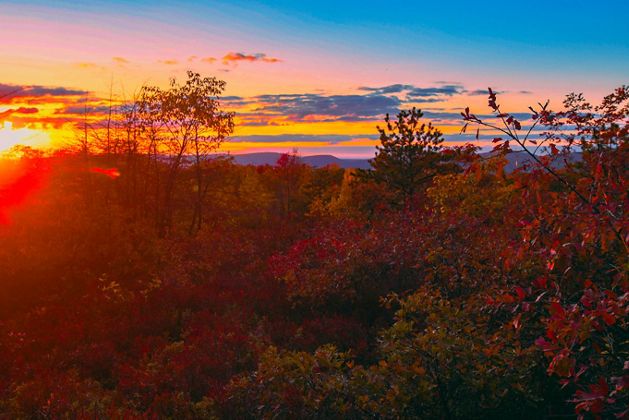 A sun sets over a forest creating an orange glow against a pink and blue sky.
