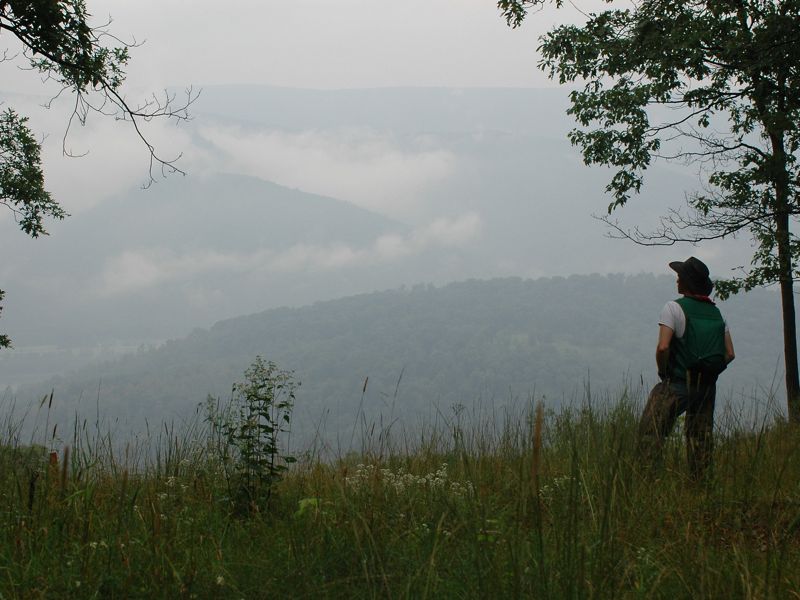 A person stands at an overlook looking onto the misty mountain tops in the distance.