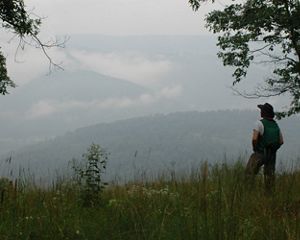 A person looks over a misty vista toward mountains.