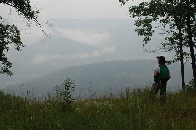 A person with their back to the camera looks off into the distance of an overlook taking in the view of sweeping mountains covered in mist.