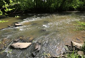 A wide, rocky creek runs through a forest in Georgia's Dugdown Corridor.