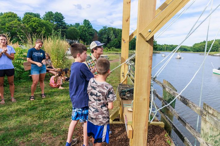 Three young men pull ropes to raise an oyster cage from a riverbed.