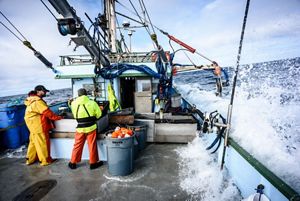 In the face of this challenge, leaders in the crab fishery are committed to working with partners like The Nature Conservancy to reduce entanglements