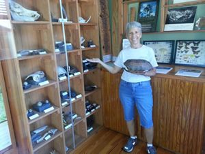 A woman holds an empty tortoise shell while pointing to other artifacts of scientific interest.