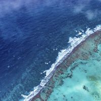 Barrier Reef of Belize