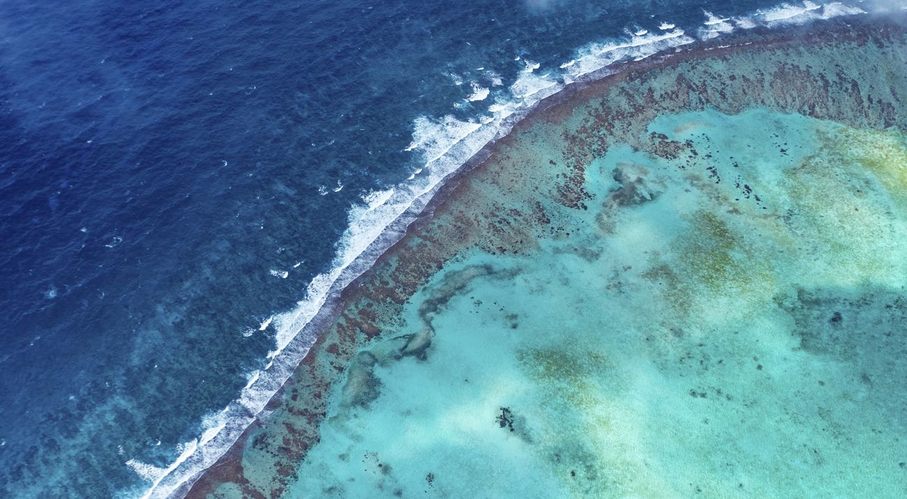 Barrier Reef of Belize