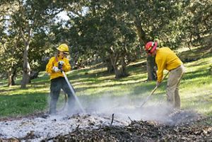 Workers tending to a pile burn in a green, grassy field framed by trees.