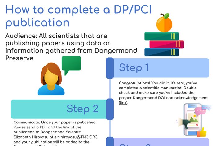 Infographic of how to complete a PCI/DP publication