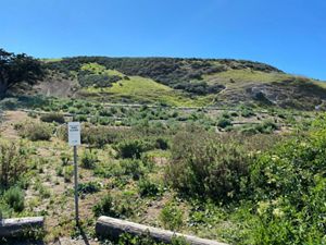Restoration site of bluff roads.