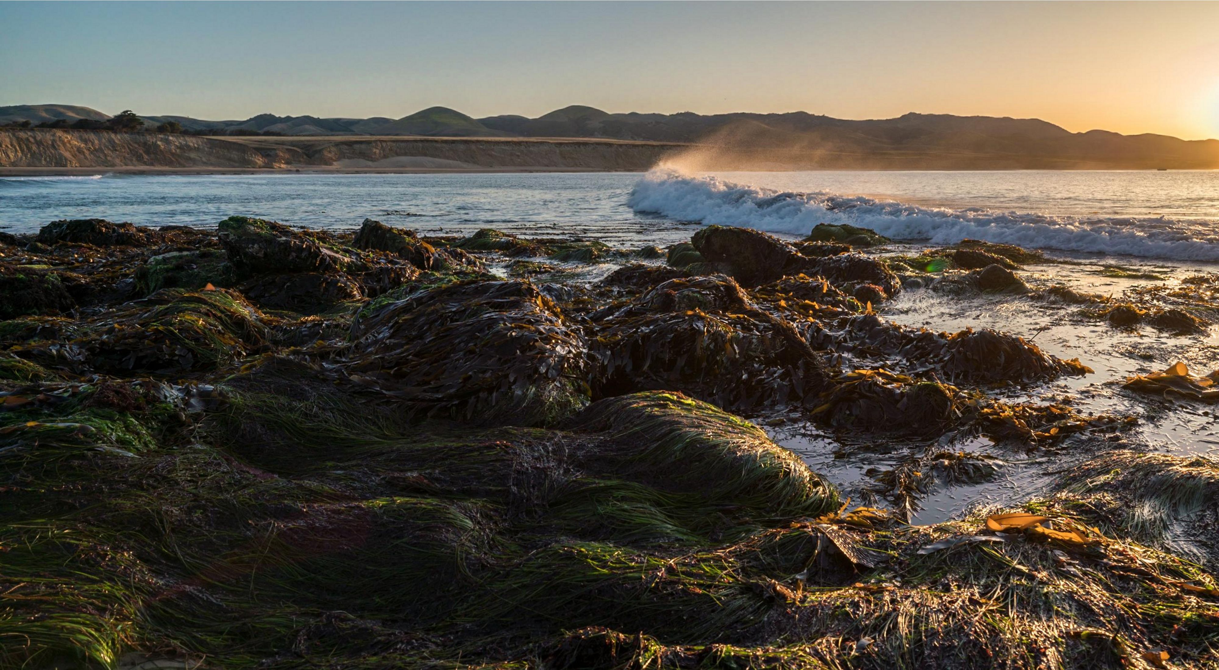 Wave approaching ocean shore with tidal pool in the foreground and sun setting over a ridgeline in the distance.
