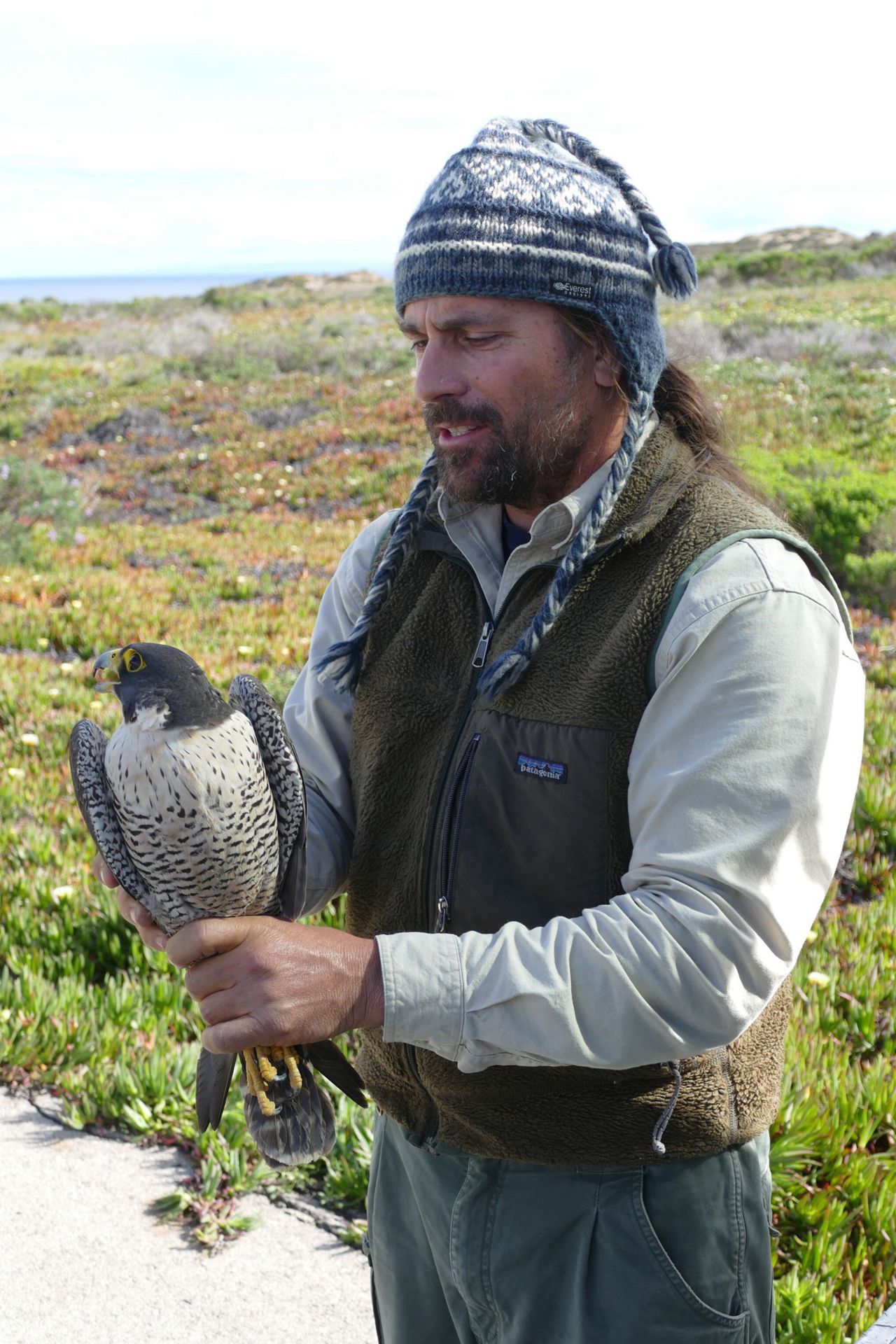 Point Conception Institute at Dangermond Preserve