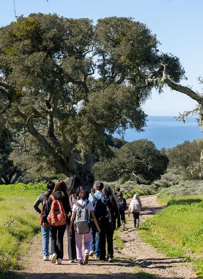 A group of students walking on a trail leading toward a grove of trees and ocean in the distance.