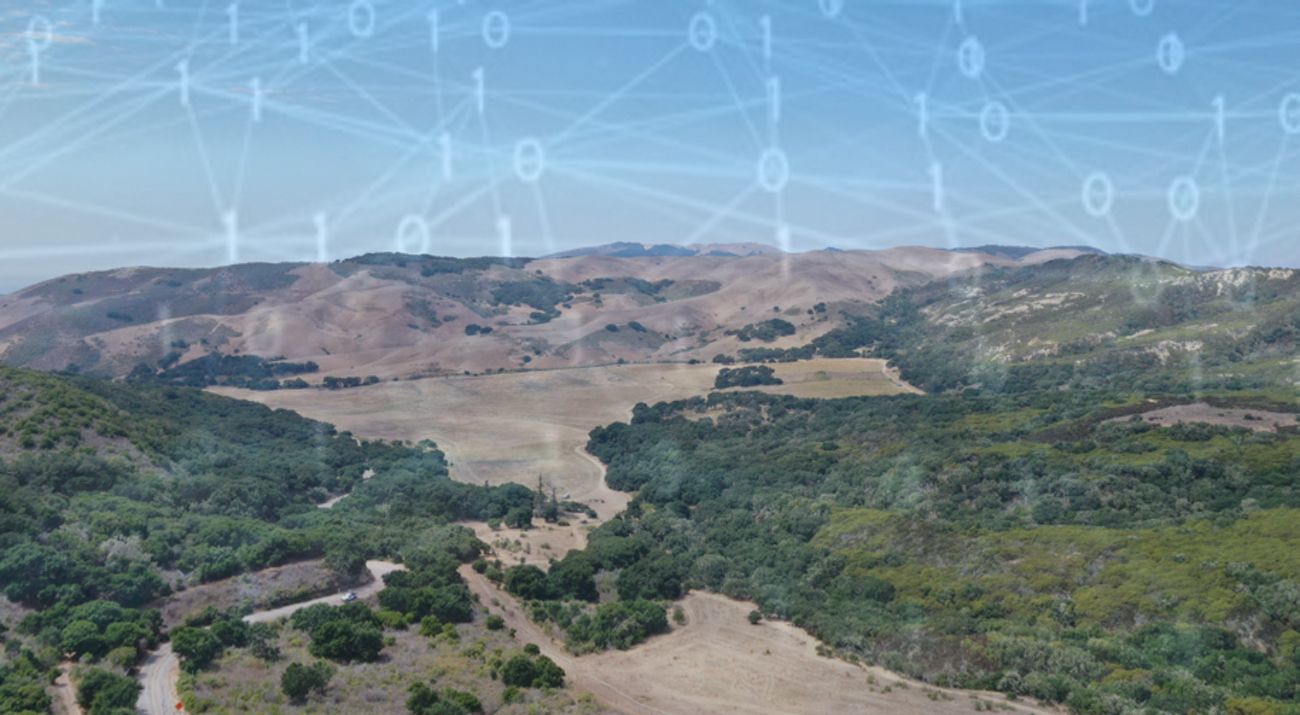 Oak restoration field with binary numbers laid over the image.