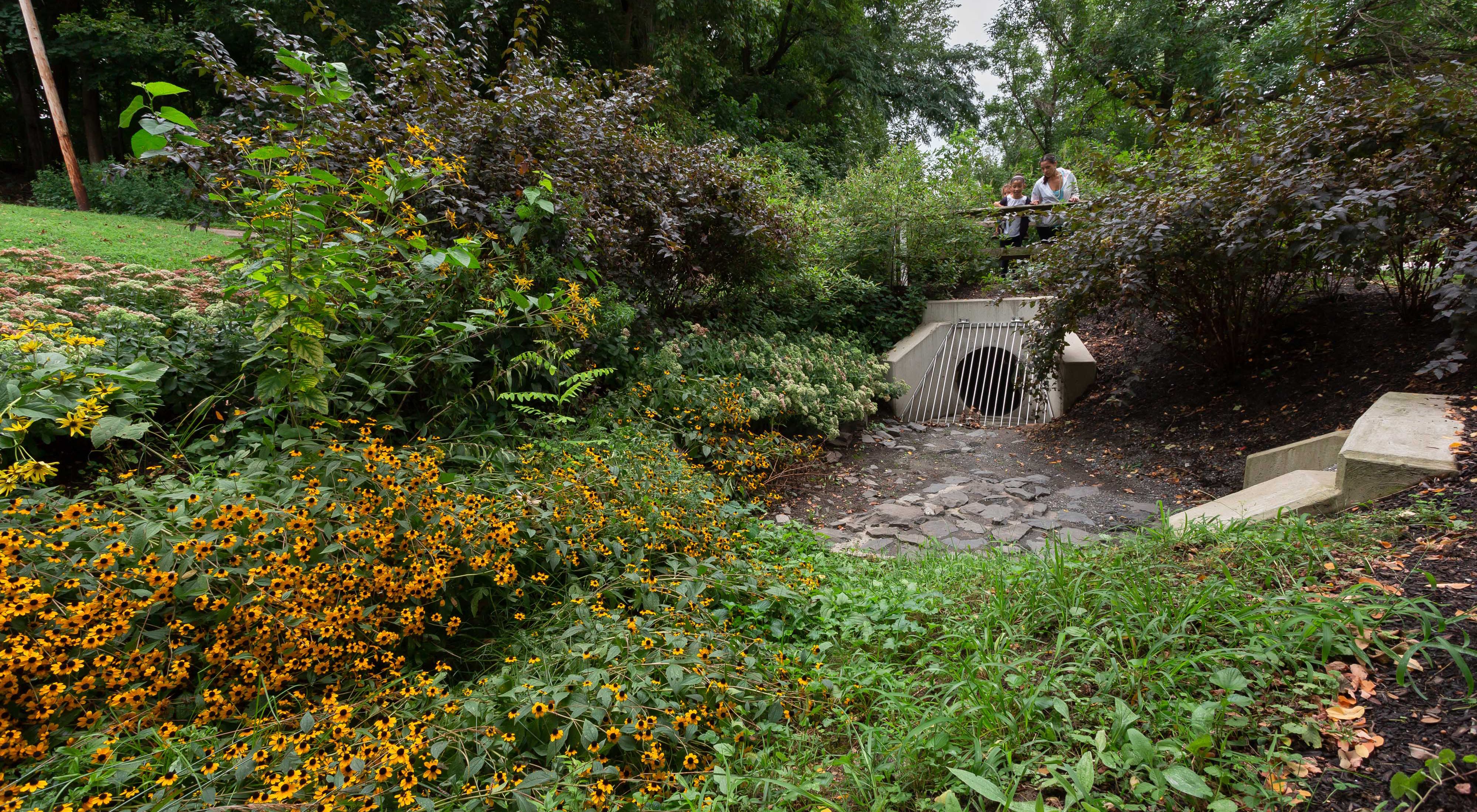a culvert sitting under a bridge is surrounded by plants and flowers