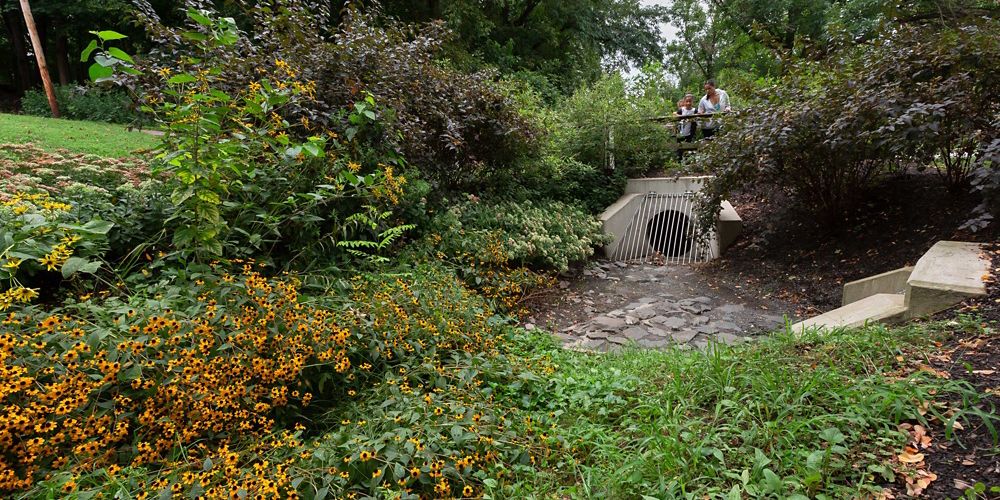 A stormwater drain sits in a small green space pouring water out into a small rock bed.