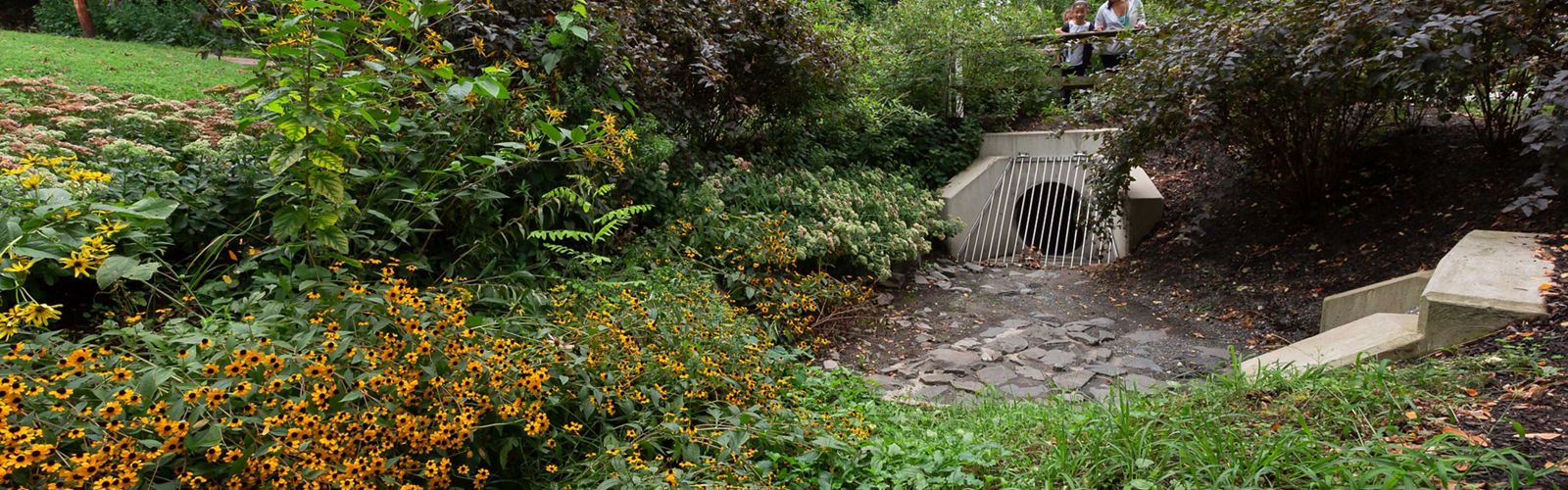 A stormwater drain sits in a small green space pouring water out into a small rock bed.