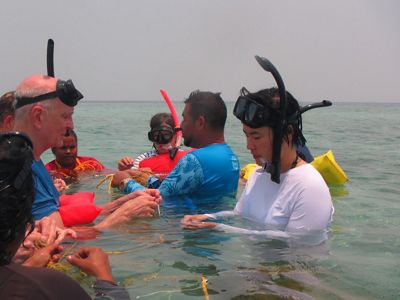 A group of people snorkeling in Belize.