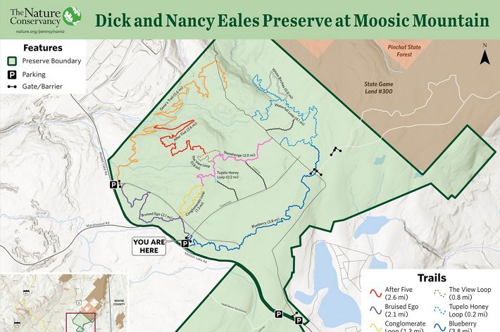 A map of Eales preserve trails.