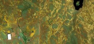 Satellite imagery of grassland wildflowers in California. Imagery resolution: 0.5 meters.