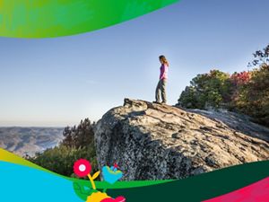 a person standing on a cliff edge, overlooking the valley beneath them. Colorful graphic waves line the image.