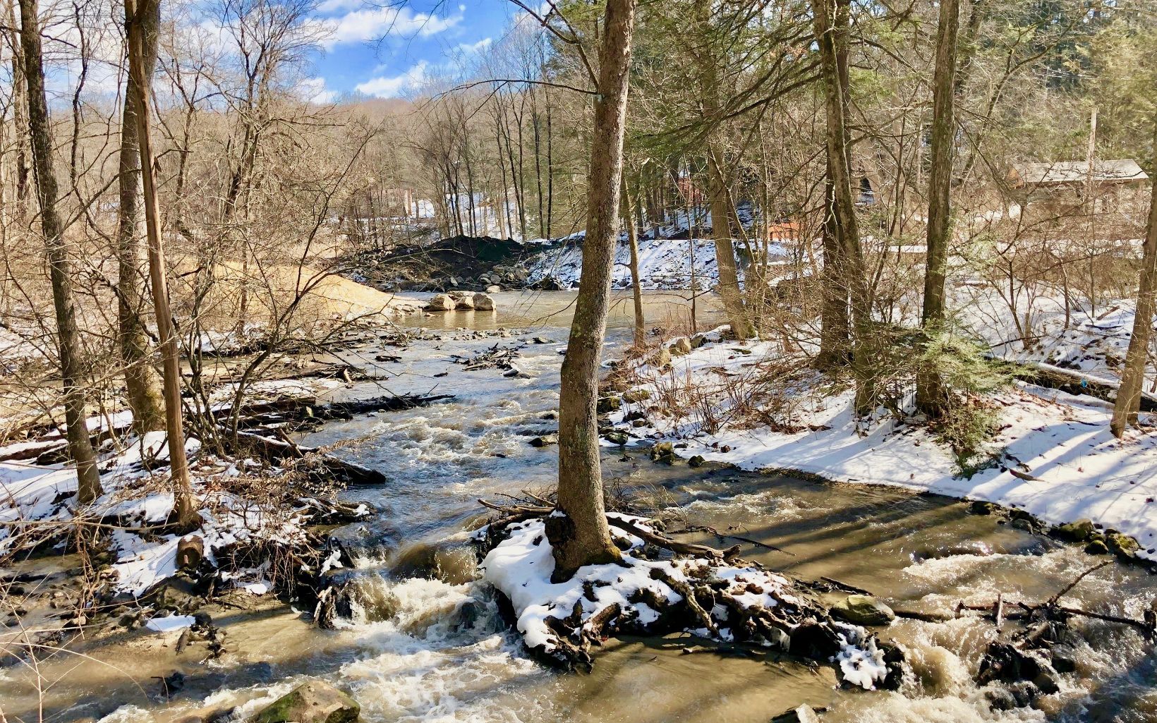 Looking upstream, the river runs free! The boulders will be moved and the root wads have been added to stabilize the bank and create instream habitat.