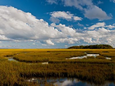 White clouds float in a blue sky above a wetland on Virginia's Eastern Shore. Water winds in narrow paths through the grass.
