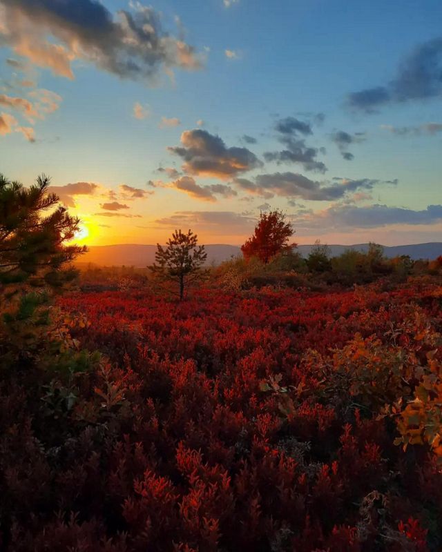 An orange sun sets in the distance behind a forest filled with bright fall colors.