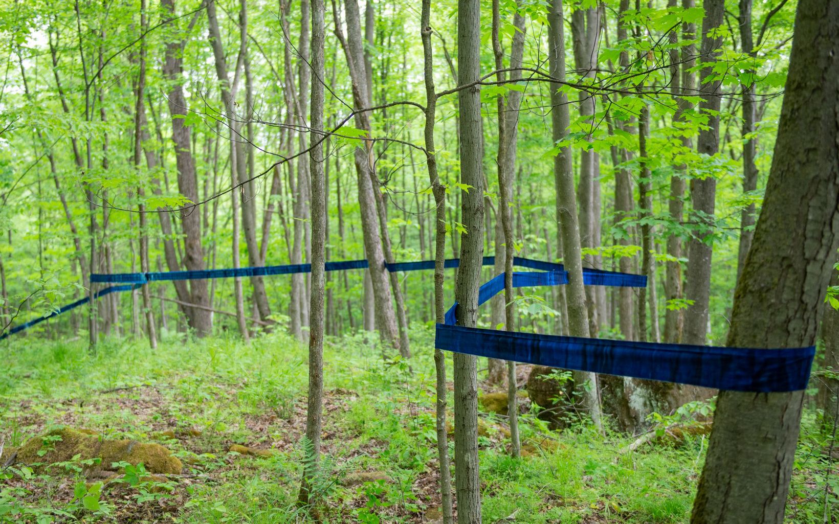 Cyanotype "blue ridge line" art installation. 