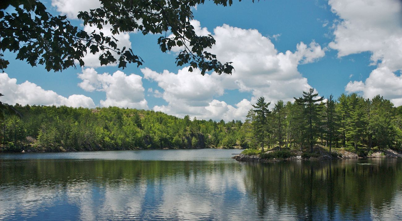 A tranquil lake surrounded by dense forest under blue sky with broken clouds.