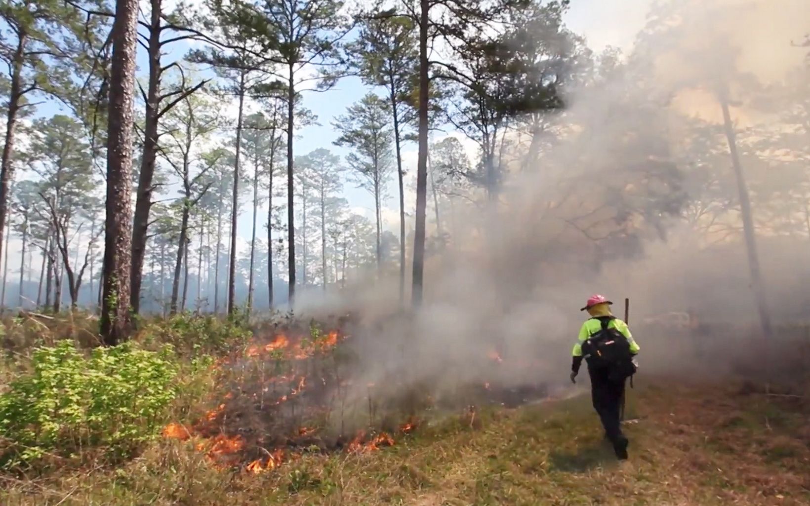 The episode describes the process of controlled burning at regular intervals to keep habitats healthy. 