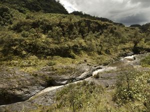 
The Pita River flows through the buffer zone of the Cotopaxi National Park in Hacienda Santa Rita.