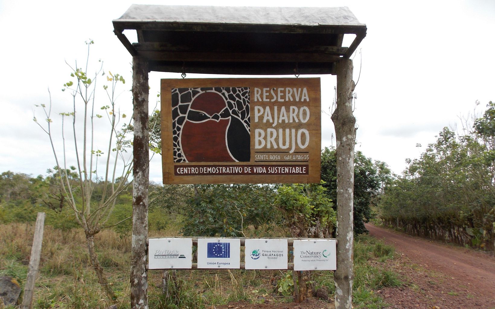 Reserva Pájaro brujo Ubicada junto al Parque Nacional Galápagos, la reserva Pájaro brujo ha sido un esfuerzo de más de una década por proteger los últimos bosques de la parte alta de la isla.  © TNC Ecuador