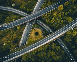 Interstates cut through swaths of forest.