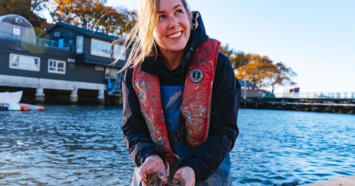 Giant Oyster Restoration Project in New York Harbor to Combat Climate Change