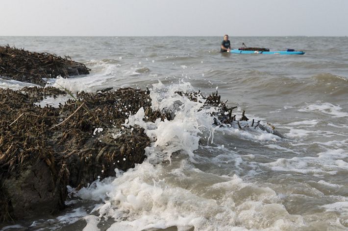 White-capped waves strike against the edge of a coastal wetland, slowly eroding the vegetation. In the background a man guides a small blue floating platform, part of a NOAA-funded research project.