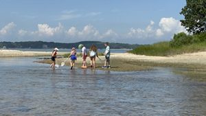 Five children stand on a sandbar observing the water.