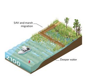 An infographic shows a gradient spanning from water to land.