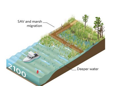 An infographic shows a gradient spanning from water to land.