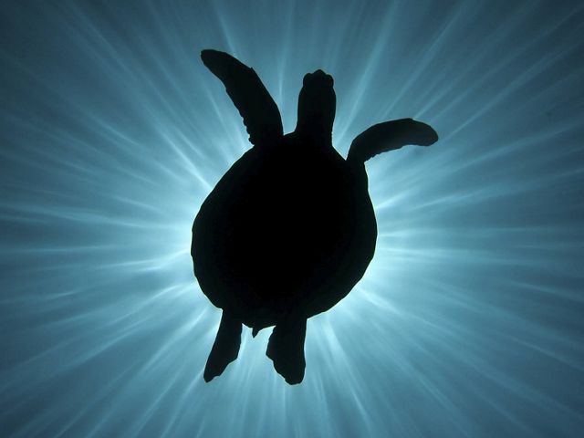 Eclipsed
