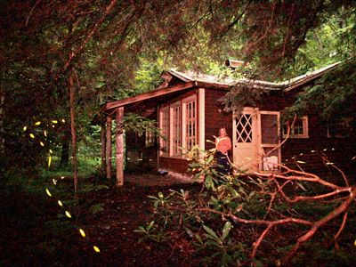 A woman stands in front of a cabin in the woods.