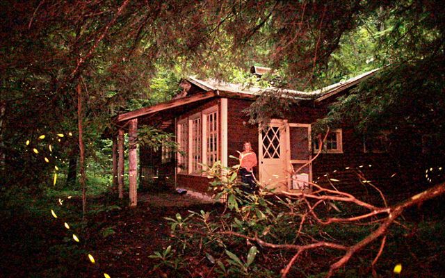A woman stands in front of a cabin in the woods.