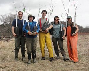 TNC staff with American elm seedlings.